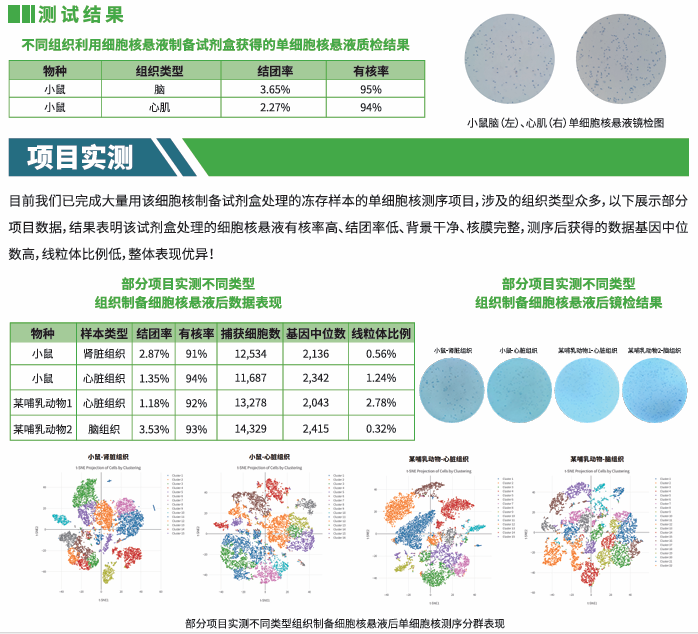 实验秘诀 | 动物组织细胞核悬液制备试剂盒使用攻略