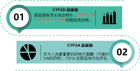 豚鼠肝微粒体 2.png 豚鼠肝微粒体 2.png