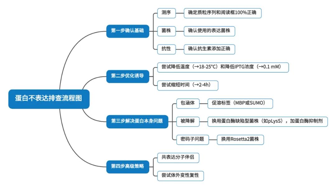 蛋白总是不表达？可能是你的标签没选对！