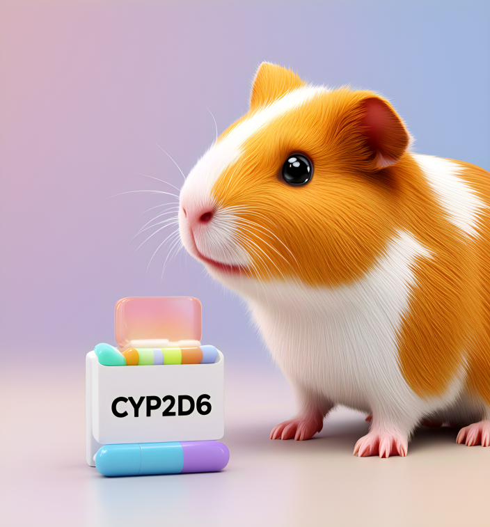 豚鼠肝微粒体 1.png