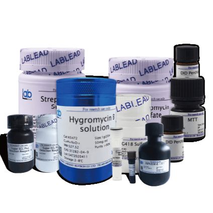 LH 20凝胶过滤层析介质