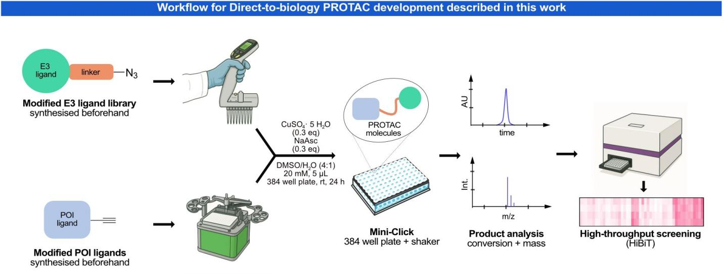 BMG LABTECH多功能酶标仪文献分享,DKFZ 德国癌症研究中心科学家试图解决PROTAC开发中的主要瓶颈，即缺乏合理的设计方法、复杂的降解剂合成和连接子构效关系（SAR）