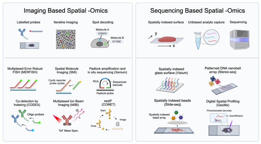 非因生物空间多组学“全家桶”来了！一篇读懂空间组学技术