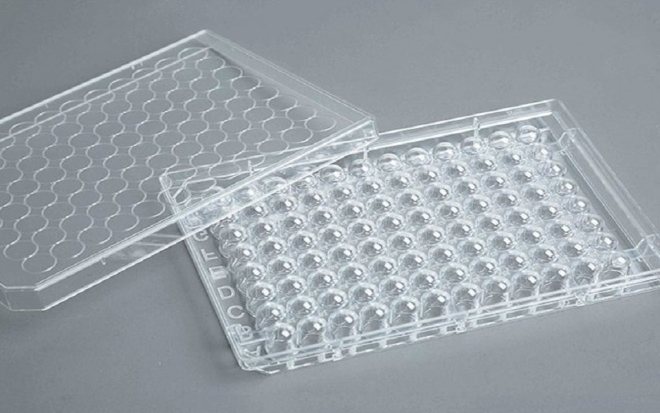 96孔圆底细胞培养板 天津本生