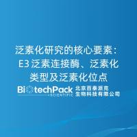 泛素化研究的核心要素：E3 泛素连接酶、泛素化类型及泛素化位......