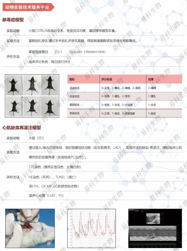 产品细节图片1
