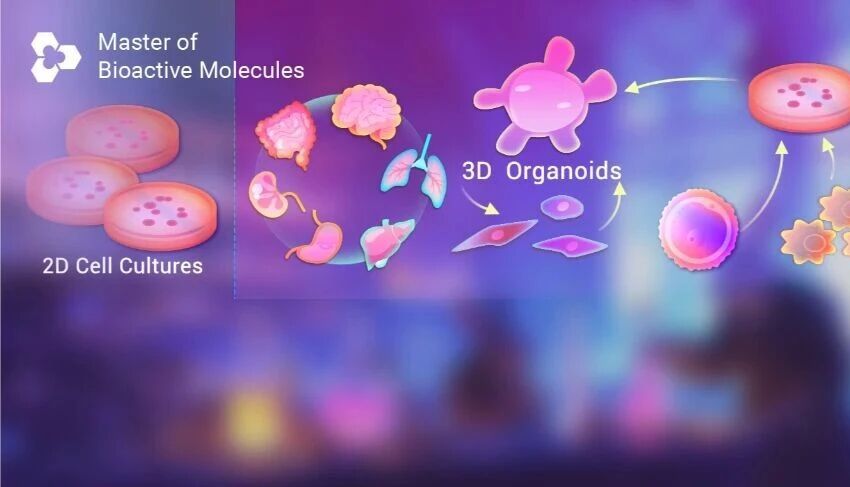 FDA 重磅∶ 告别动物试验 AI 模型 or 类器官测试, 药物评估或将迎来重大转变!