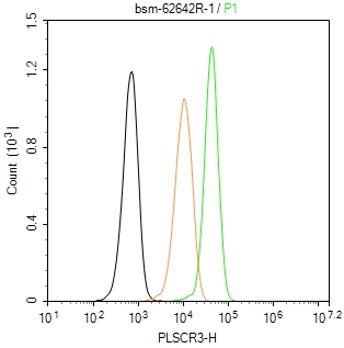 PLSCR3 Recombinant Rabbit mAb(