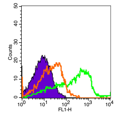 PCGF4/BMI1 Rabbit pAb, FITC co
