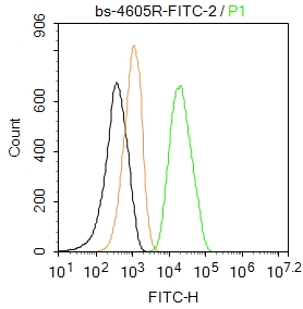 MMP2 Rabbit pAb, FITC conjugat