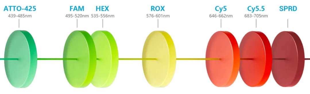 Sniper DQ Infinity 思纳福全自动高通量数字
