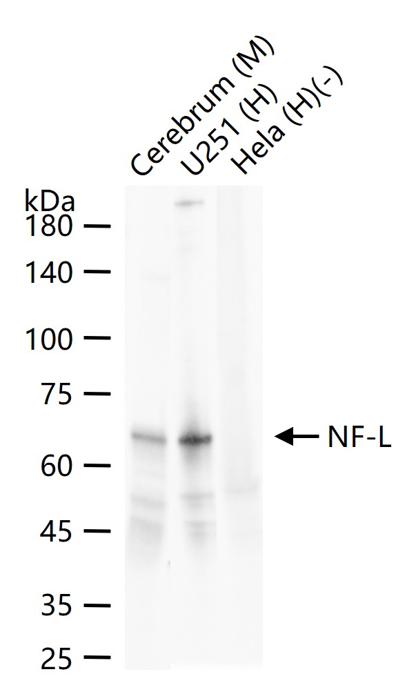 产品细节图片11