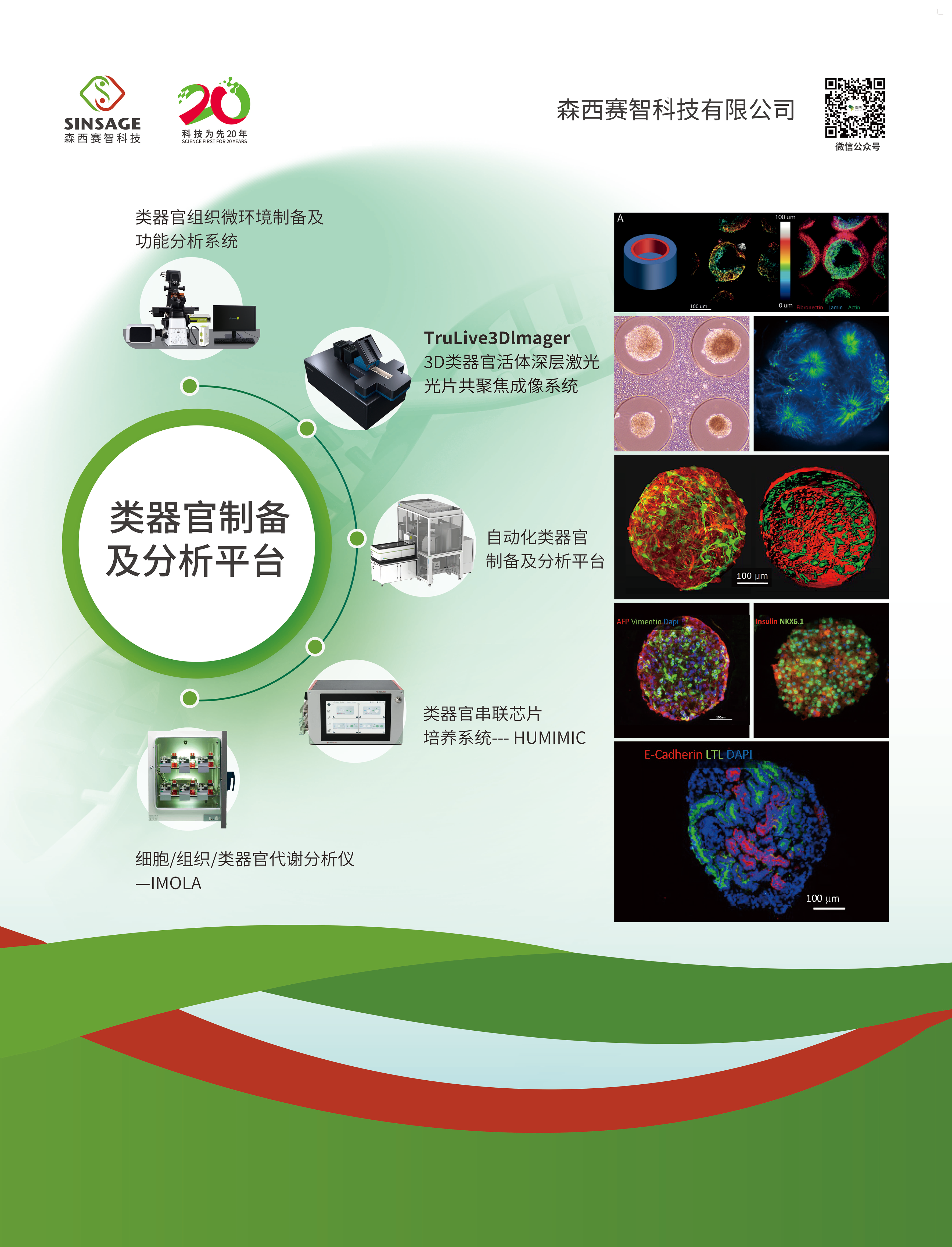 2025年第三届中国类器官学术年会暨中国细胞生物学学会类器官研究与应用分会成立大会精彩回顾