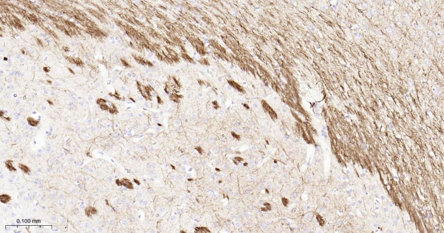 产品细节图片10