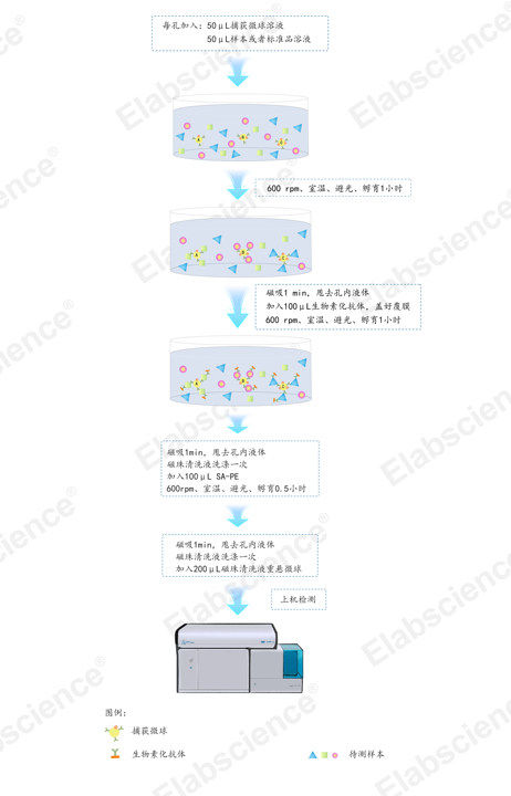 Aptplex™ 人细胞因子8指标多因子试剂盒(定制)