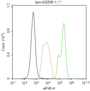 eIF4E Recombinant Rabbit mAb(b
