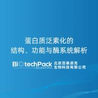 蛋白质泛素化的结构、功能与酶系统解析