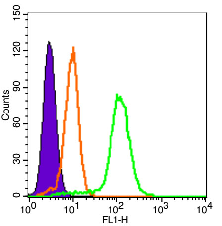 PCGF4/BMI1 Rabbit pAb, FITC co