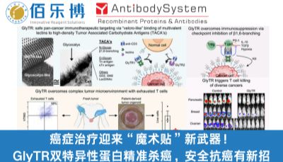 癌症治疗迎来“魔术贴”新武器！GlyTR双特异性蛋白精准杀癌，安全抗癌有新招