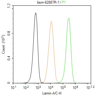 Lamin A/C Recombinant Rabbit m