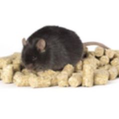 60 kca1%高脂及胆碱缺乏鼠粮