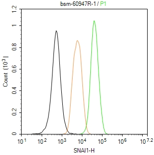 SNAI1 Recombinant Rabbit mAb(b