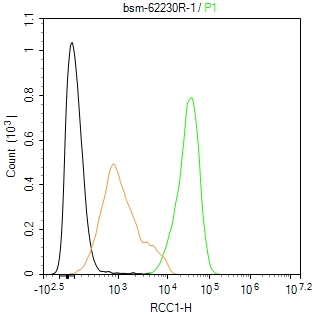 RCC1 Recombinant Rabbit mAb(bs