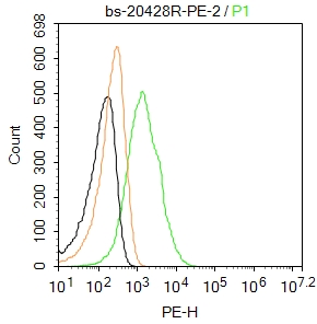 VWF Rabbit pAb, PE conjugated(