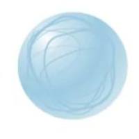 转铁蛋白偶联PLGA纳米颗粒载紫杉醇与姜黄素并辅以Coumarin-6示踪 PTX/CUR/Coumarin-6@PLGA NPs-Tf