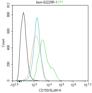 CD150/SLAM Recombinant Rabbit 