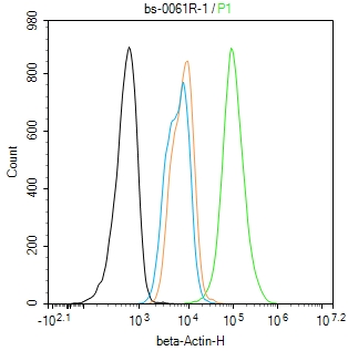 beta-Actin Rabbit pAb, Loading