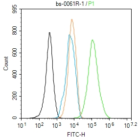 beta-Actin Rabbit pAb, Loading
