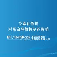 泛素化修饰对蛋白降解机制的影响