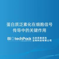蛋白质泛素化在细胞信号传导中的关键作用
