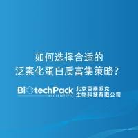 如何选择合适的泛素化蛋白质富集策略？