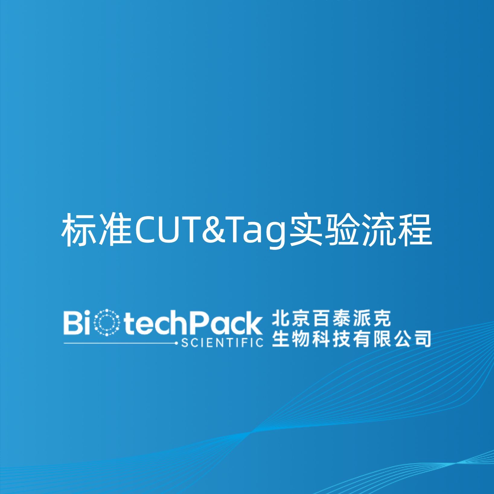 标准CUT&Tag实验流程