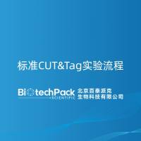 标准CUT&Tag实验流程