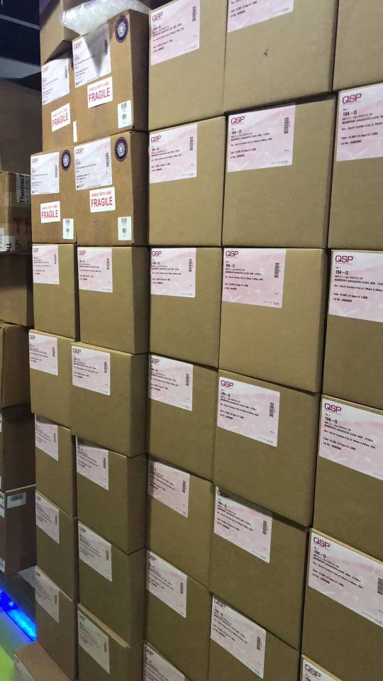 QSP货号102-Q现货0.1-10μl超微吸头(非灭菌)带