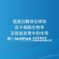 组蛋白翻译后修饰在干细胞生物学及胚胎发育中的作用
