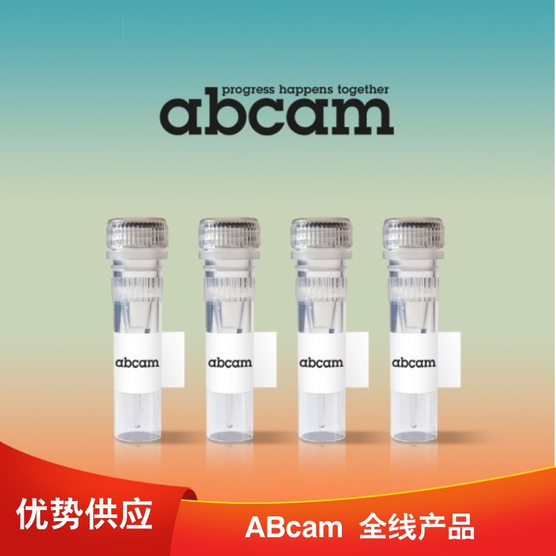 Anti-CBX1 / HP1 beta antibody