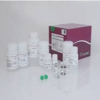 磁珠法高效组织/细胞总RNA提取试剂盒(DP771)