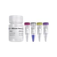 动物组织直接进行 PCR 反应的试剂盒 One Step Mouse Genotyping Kit