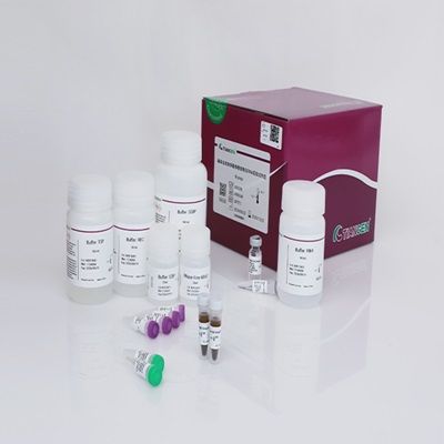 磁珠法高效多糖多酚植物总RNA提取试剂盒(DP772)