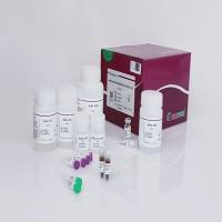 磁珠法高效多糖多酚植物总RNA提取试剂盒（DP772）