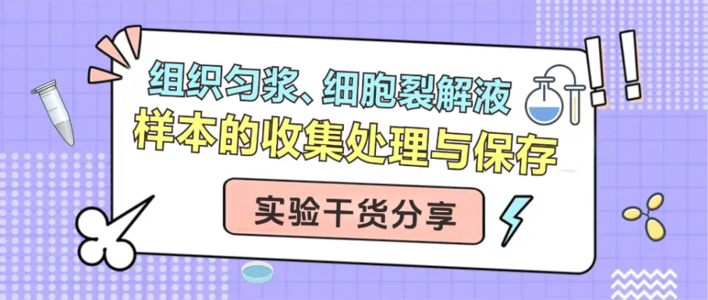 组织匀浆、细胞裂解液样本的收集处理与保存