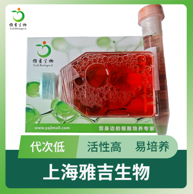 雅吉生物ATCC细胞直供服务详解