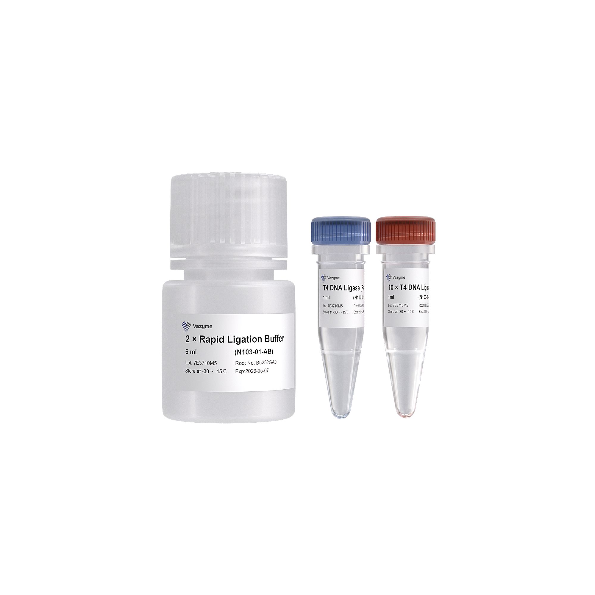 T4 DNA Ligase (Rapid)(DNA快速连接)( N103)