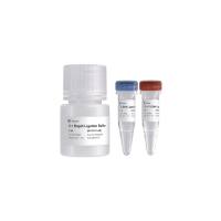 T4 DNA Ligase (Rapid)（DNA快速连接）（ N103）