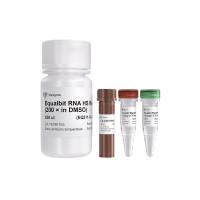 Equalbit RNA HS Assay Kit（EQ211）