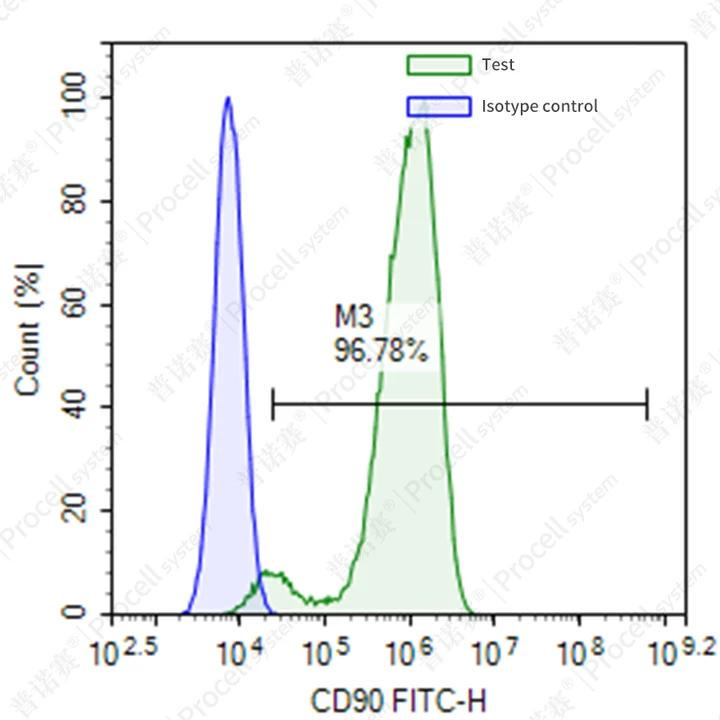 大鼠骨髓间充质干细胞的流式检测 CD90+
